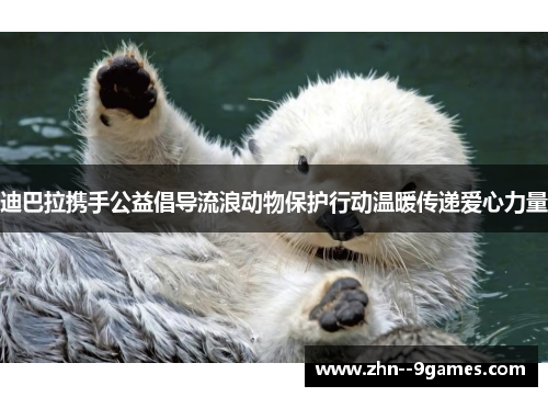 迪巴拉携手公益倡导流浪动物保护行动温暖传递爱心力量 迪巴拉携手公益倡导流浪动物保护行动温暖传递爱心力量