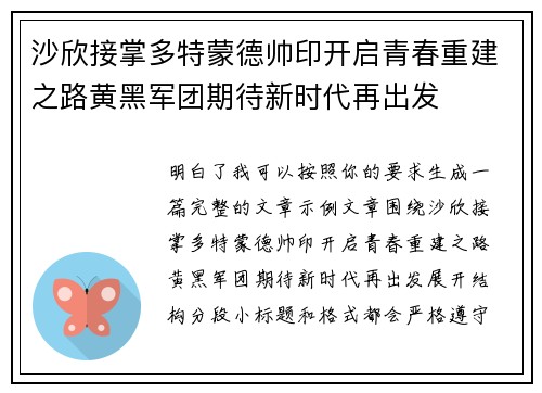 沙欣接掌多特蒙德帅印开启青春重建之路黄黑军团期待新时代再出发
